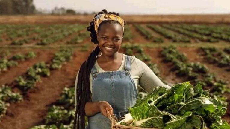 Top 10 Women Transforming Agriculture and Farming in South Africa Top 10 Women Transforming Agriculture and Farming in South Africa