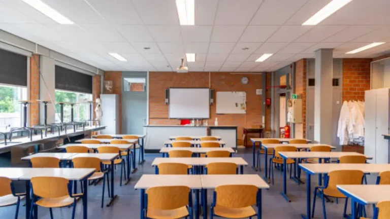 Tragedy at Alberton School: Learner Dies Following Playground Incident Tragedy at Alberton School: Learner Dies Following Playground Incident