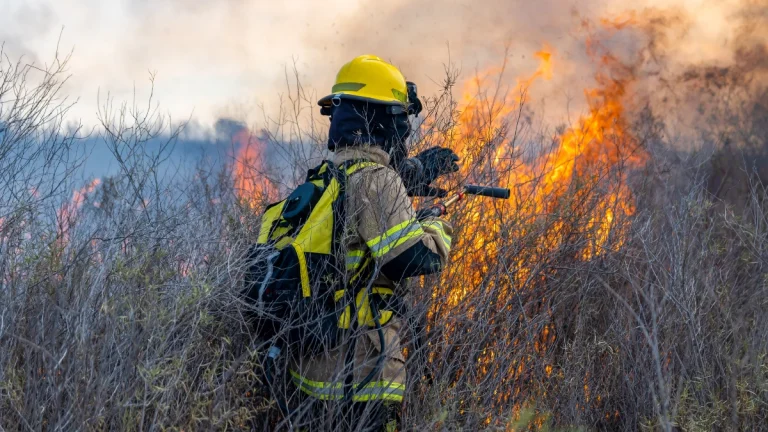 Tshwane Issues Warning: No Fires Allowed Under City Bylaws Tshwane Issues Warning: No Fires Allowed Under City Bylaws