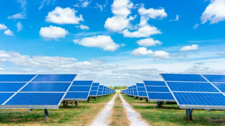 What Eskom and City Power’s Push for Solar Registration Means for You What Eskom and City Power’s Push for Solar Registration Means for You