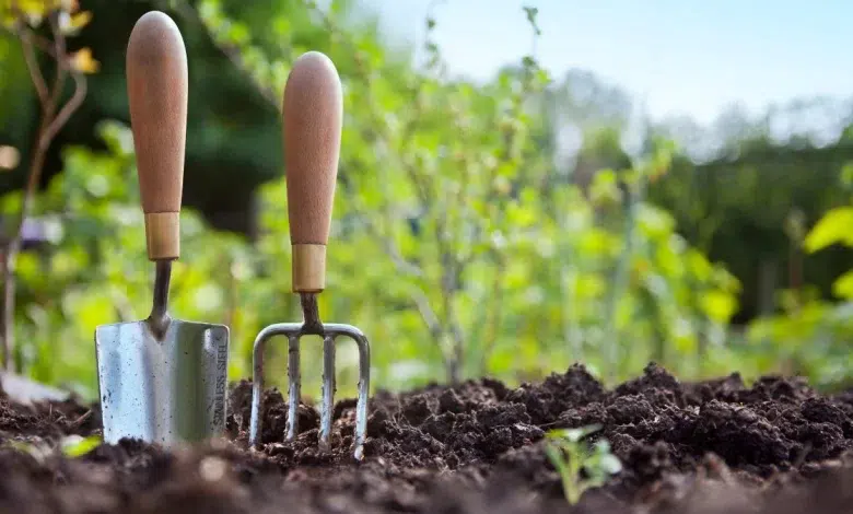 From Soil to Sun: Why Gauteng’s Gardens Thrive in Springtime