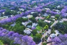 From Street Markets to Sunsets: 7 Ways Gauteng Glows in Spring