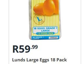 Gauteng News Image