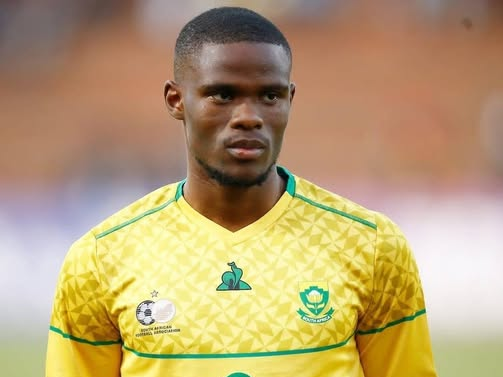 Gauteng News Image