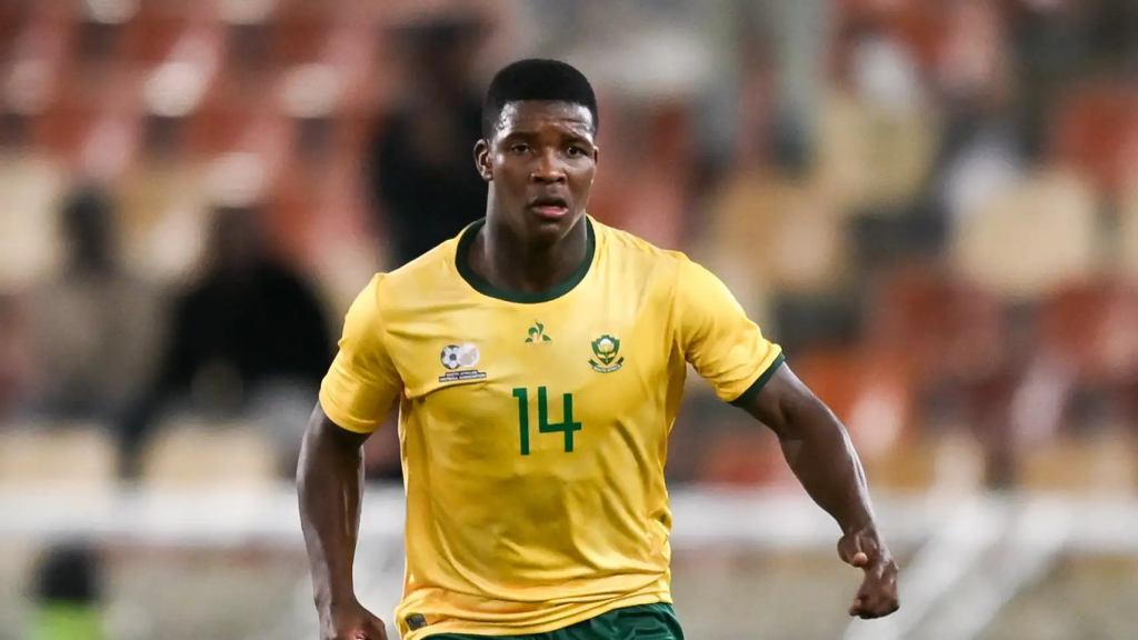 Gauteng News Image