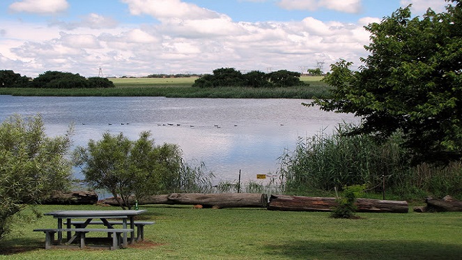 Gauteng News Image