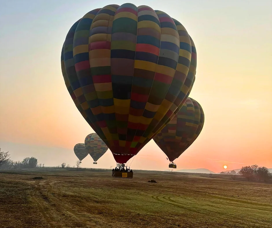 Gauteng News Image