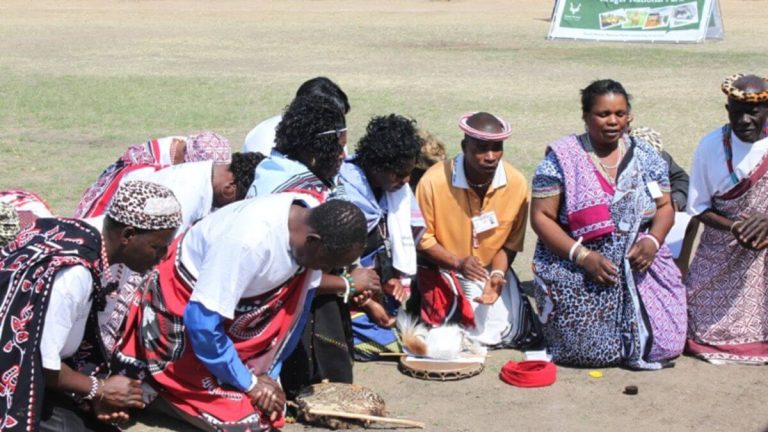 Gauteng Launches Traditional Health Practitioners’ Structure in Mogale City Gauteng Launches Traditional Health Practitioners’ Structure in Mogale City
