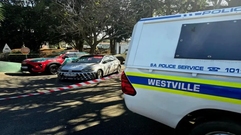 Gauteng Traffic Police Arrest 43 Reckless Drivers on Freeways