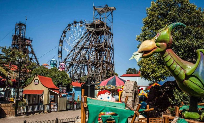 Gold Reef City Tickets 2025: Entrance Fees & Booking Guide
