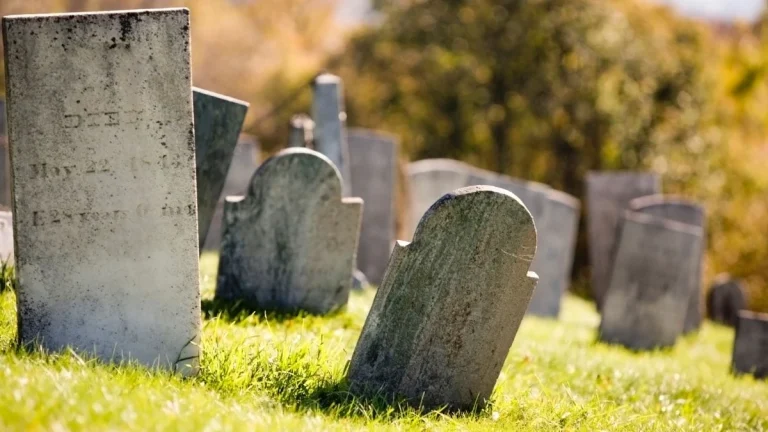 Joburg Moves to Digitise Cemetery Records to Prevent Lost Graves Joburg Moves to Digitise Cemetery Records to Prevent Lost Graves