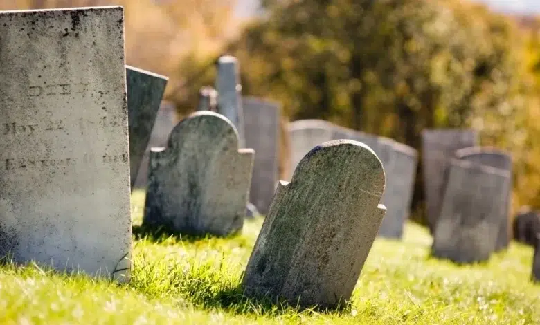 Joburg Moves to Digitise Cemetery Records to Prevent Lost Graves