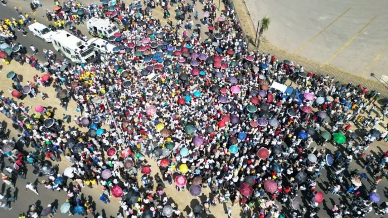 Pretoria Youth March Demands Urgent Job Creation Amid South Africa’s Rising Youth Unemployment Crisis Pretoria Youth March Demands Urgent Job Creation Amid South Africa’s Rising Youth Unemployment Crisis