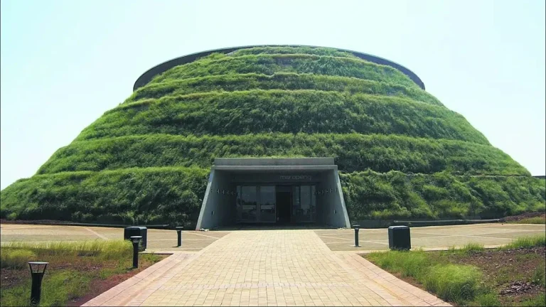 The Cradle of Humankind: Explore This UNESCO Site The Cradle of Humankind: Explore This UNESCO Site