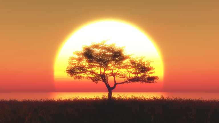 Where to Watch the Perfect Sunset: 10 Picture-Perfect Spots Where to Watch the Sunset in Gauteng: 10 Picture-Perfect Spots