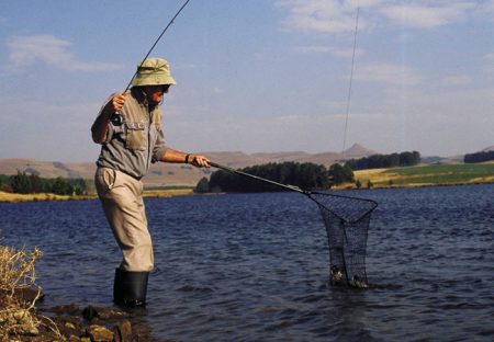 VAAL RIVER ADVENTURES BEST THINGS TO DO NEAR GAUTENG S FAVOURITE visual data 7