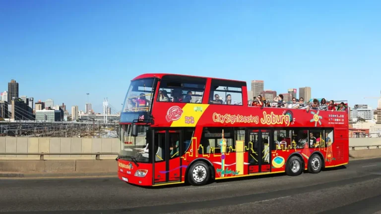 Johannesburg Tours for First-Time Visitors: Why Guided Sightseeing Is Growing in 2026